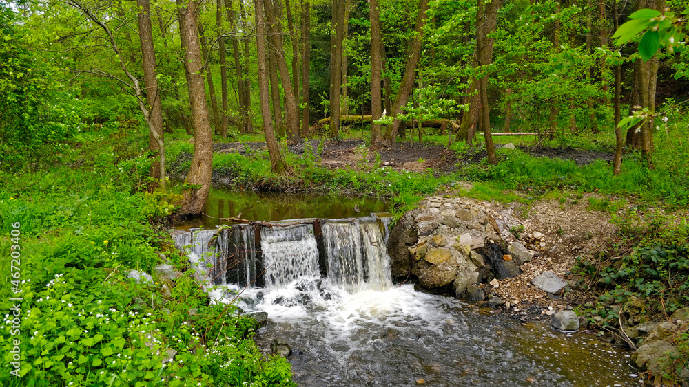 Tiny waterfall on the forest rivulet. All the trees and grass is very fresh and green. Walking here is very relaxing. Tiny waterfall on the forest rivulet. All the trees and grass is very fresh and green. Walking here is very relaxing.