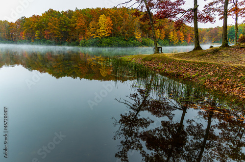 Fall Color Reflections on Boley Lake, Babcock State Park, West Virginia, USA photo