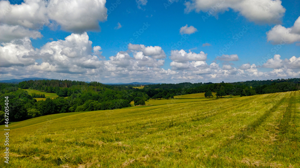 Picturesque South Bohemian countryside with large pasture and green forest. Beautiful white clouds passing in the sky creates amazing relaxing feeling.