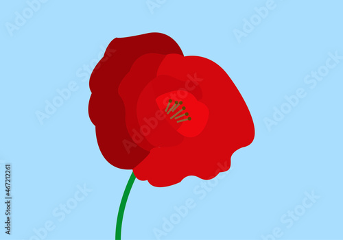 Amapola roja sobre fondo azul.