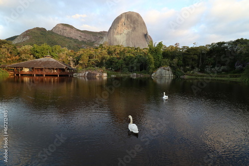 Duck in a river near a wooden house in Pedra Azul, Minas Gerais, Brazil photo