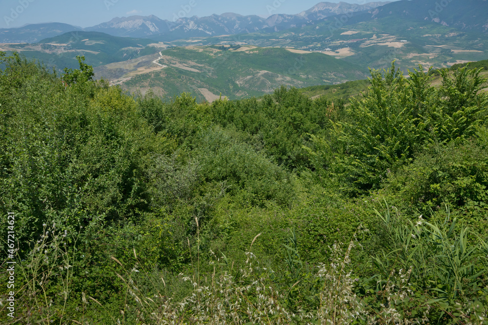 Fototapeta premium Green mountains covered with forest on the blue sky background. Panorama .Mountain green valley landscape. Beautiful mountain green valley panorama. Green mountains and mountain tops .