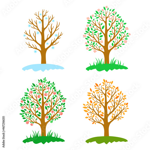 Tree seasons