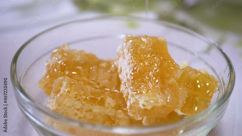 Thick Natural Honey is Pouring in a Thin Stream in a Glass Bowl on a Honeycomb. Yellow transparent honey flows drip over the bee combs. Healing, organic, healthy, nutritious beekeeping product. 4K. Thick Natural Honey is Pouring in a Thin Stream in a Glass Bowl on a Honeycomb. Yellow transparent honey flows drip over the bee combs. Healing, organic, healthy, nutritious beekeeping product. 4K.