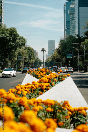 La Palma in Mexico City.