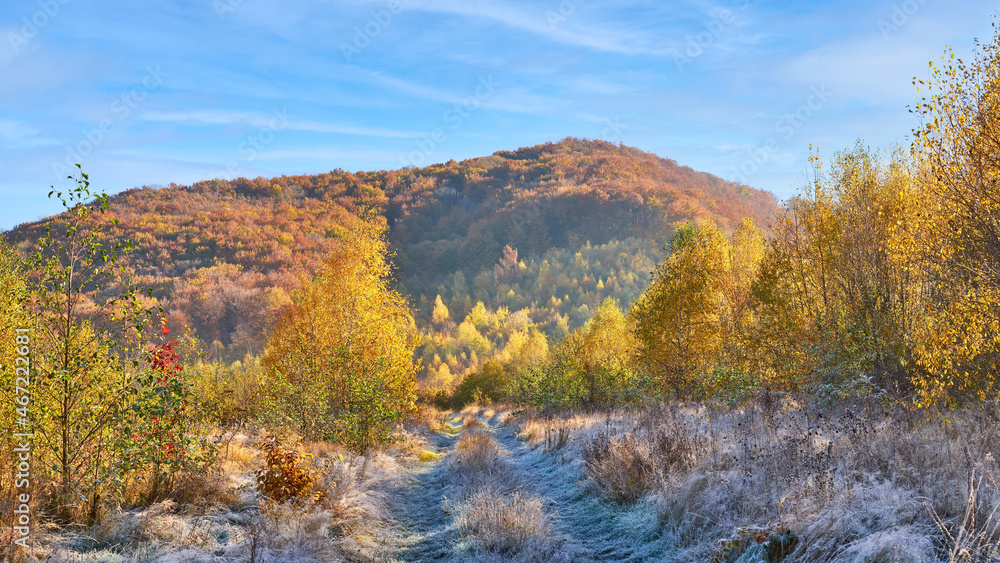 Panorama of an autumn landscape on a cold morning. The sun illuminates the golden foliage of birches, but in the shade, there is still frost on the grass Panorama of an autumn landscape on a cold morning. The sun illuminates the golden foliage of birches, but in the shade, there is still frost on the grass