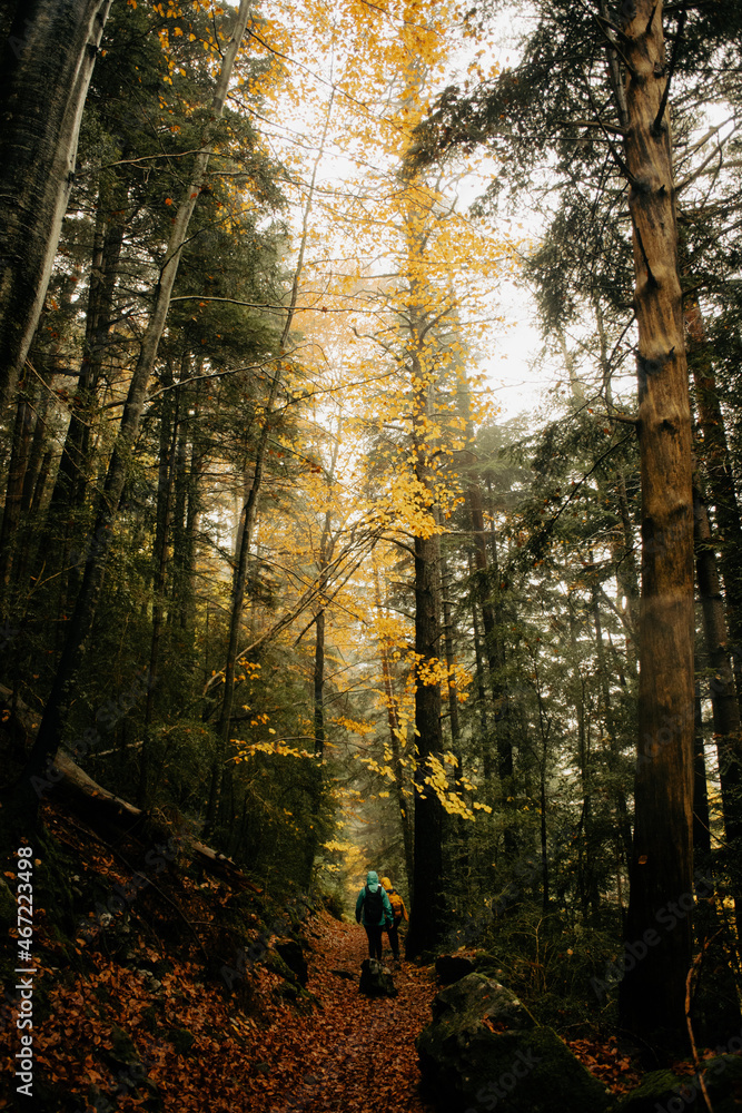 Fototapeta premium Otoño en el Parque Nacional de Ordesa y Monte Perdido
