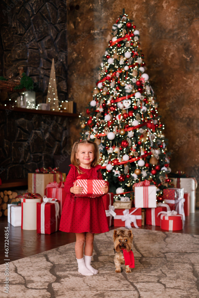 a little girl in an elegant dress with a gift with a dog at the Christmas tree. vertical photo