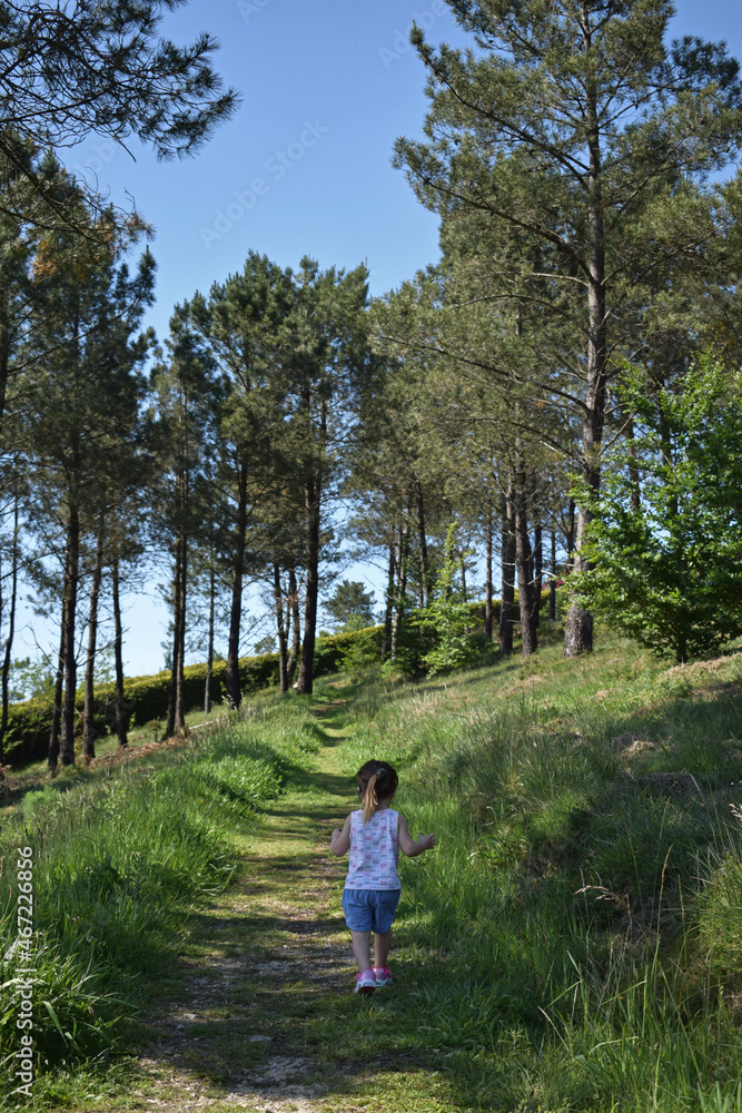 Pequeña niña caminando por el bosque