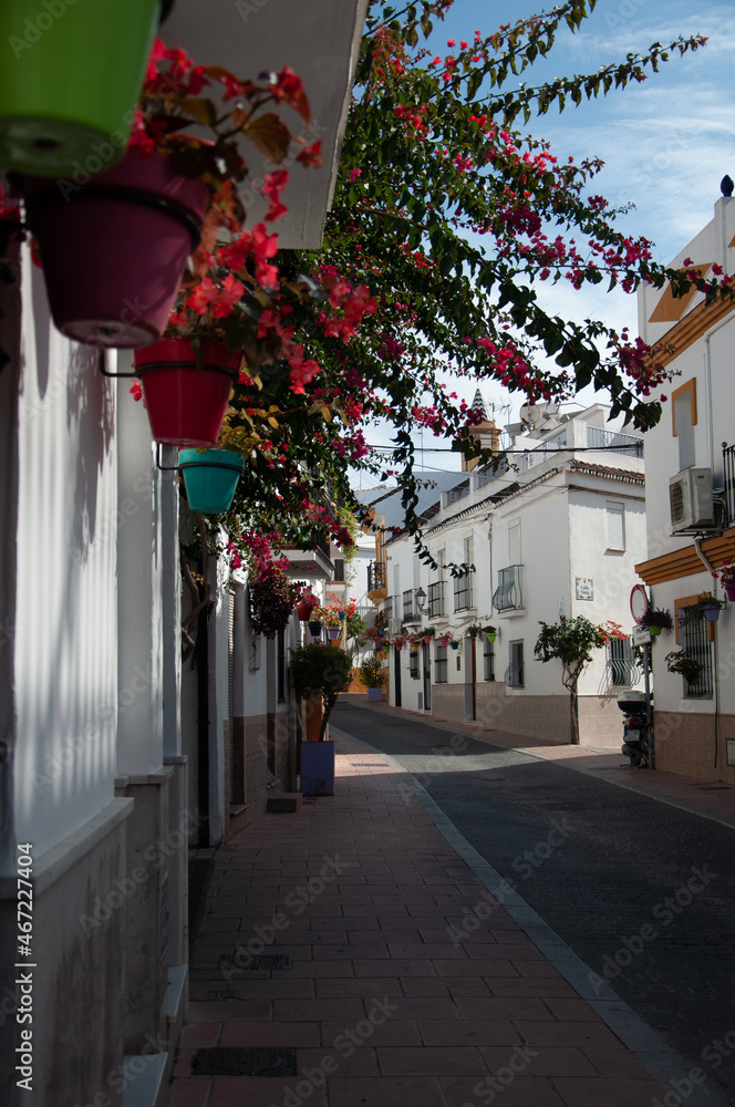 A typical street in old city Estepona with colorful flower pots. Estepona, Andalusia, Spain