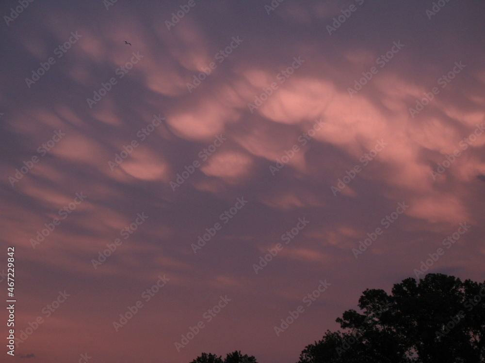 Storm Clouds