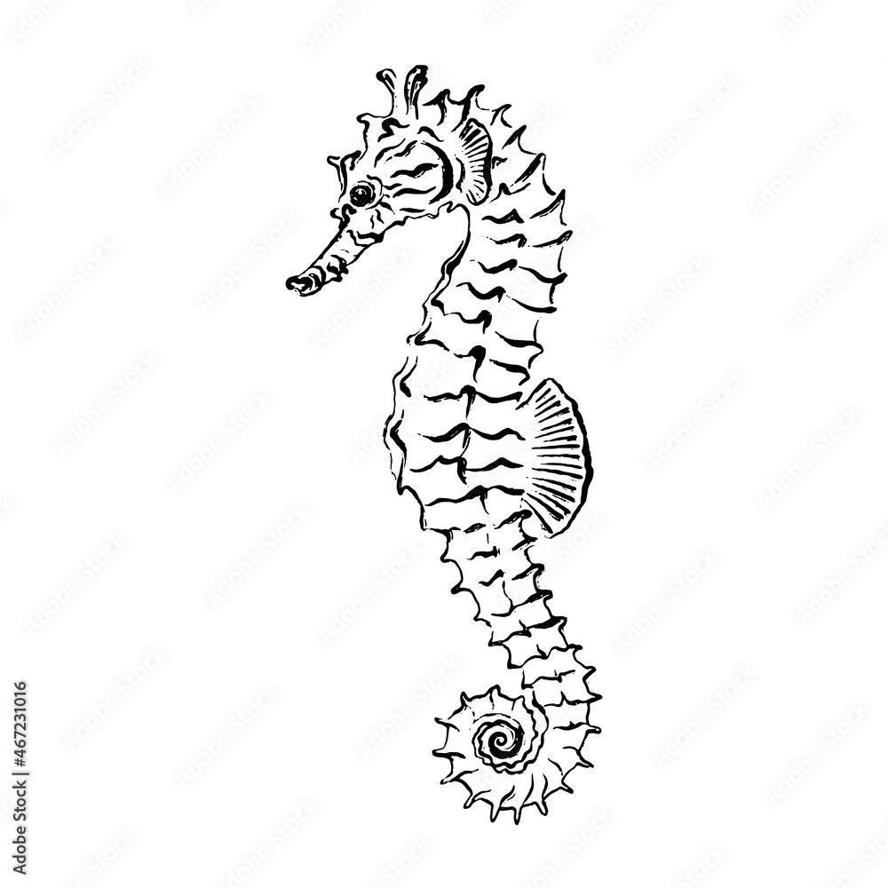 Fototapeta premium Seahorse. Black ink brush texture. Vector illustration