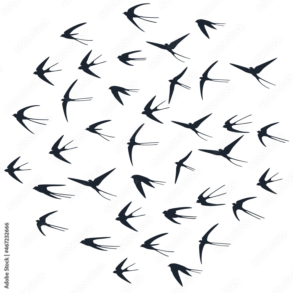 Flying martlet birds silhouettes vector illustration. Migratory martlets flock isolated on white.