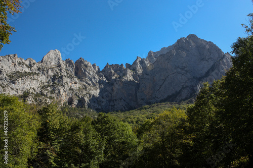 View of rocky ridges with trees in the foreground at Cares Natural Park in the north of Spain