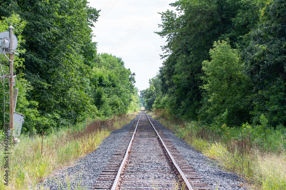 Fototapeta premium Railroad train tracks traveling through an American countryside with trees