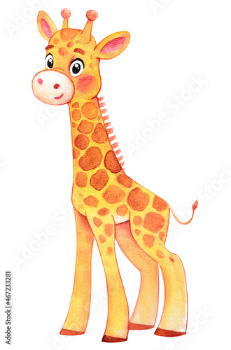 Watercolor cute giraffe . Watercolor animal  on an isolated background  for children s parties. Wall decoration.