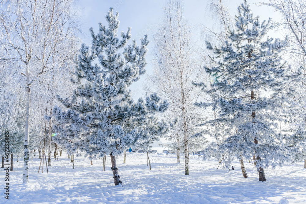 Winter landscape in the Park Winter landscape in the Park