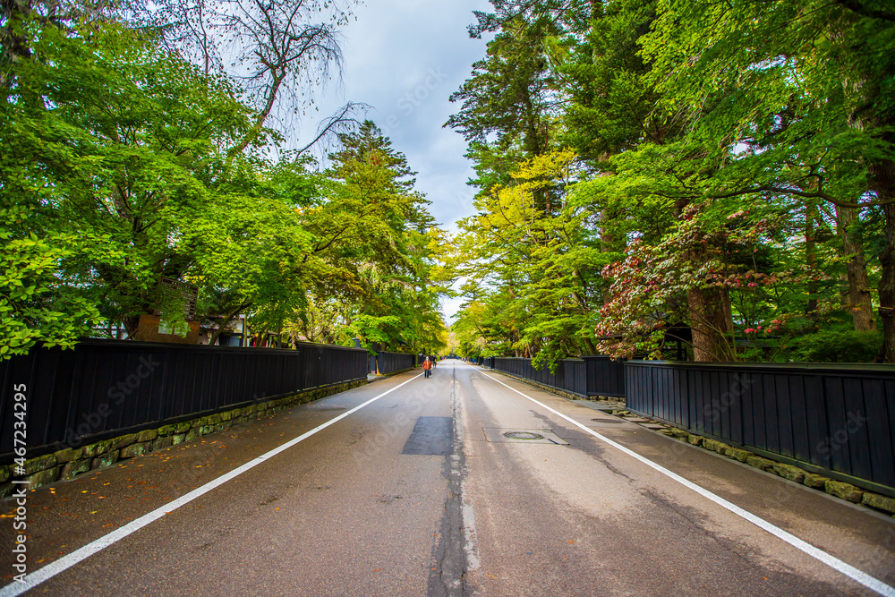Fototapeta premium 秋田県 角館武家屋敷