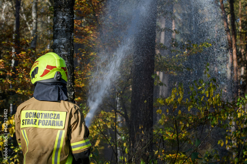 Strażacy podczas akcji gaśniczej w lesie © Wojciech