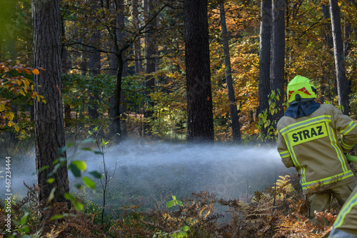 Strażacy podczas akcji gaśniczej w lesie