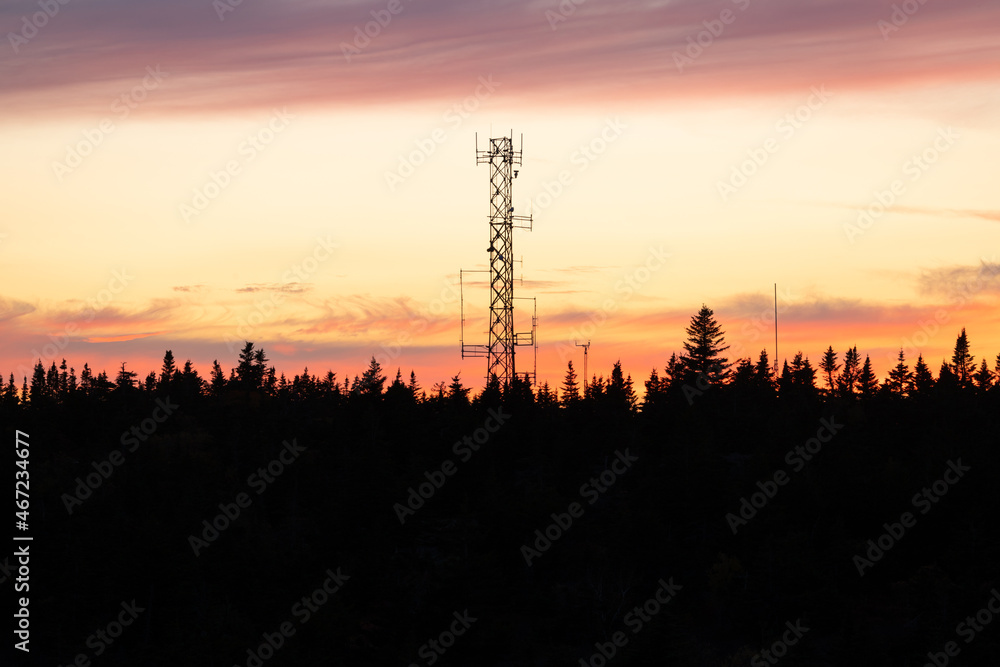 Sunset over Pine Forest in Maine in the Fall