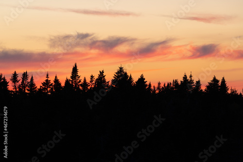 Sunset over Pine Forest in Maine in the Fall
