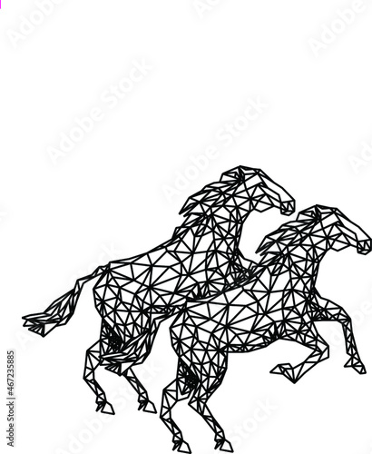 CAVALO, HORSE, CAVALOS