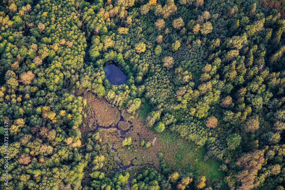 Aerial view on blue swamps and lakes hidden in Lithuanian forest