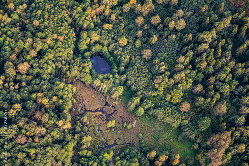 Aerial view on blue swamps and lakes hidden in Lithuanian forest