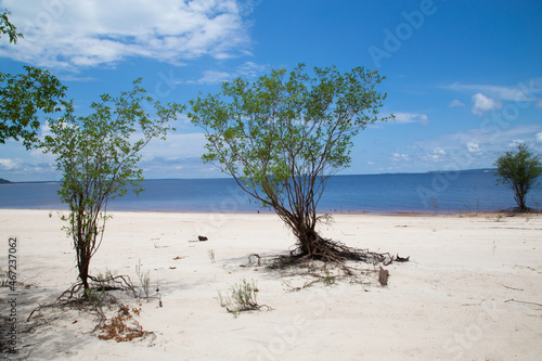 The freshwater beach of Manaus, the city in the middle of the Amazon rainforest