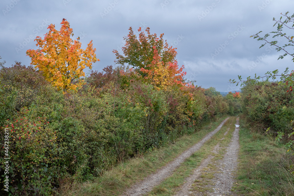 Obraz premium Landschaft im Herbst
