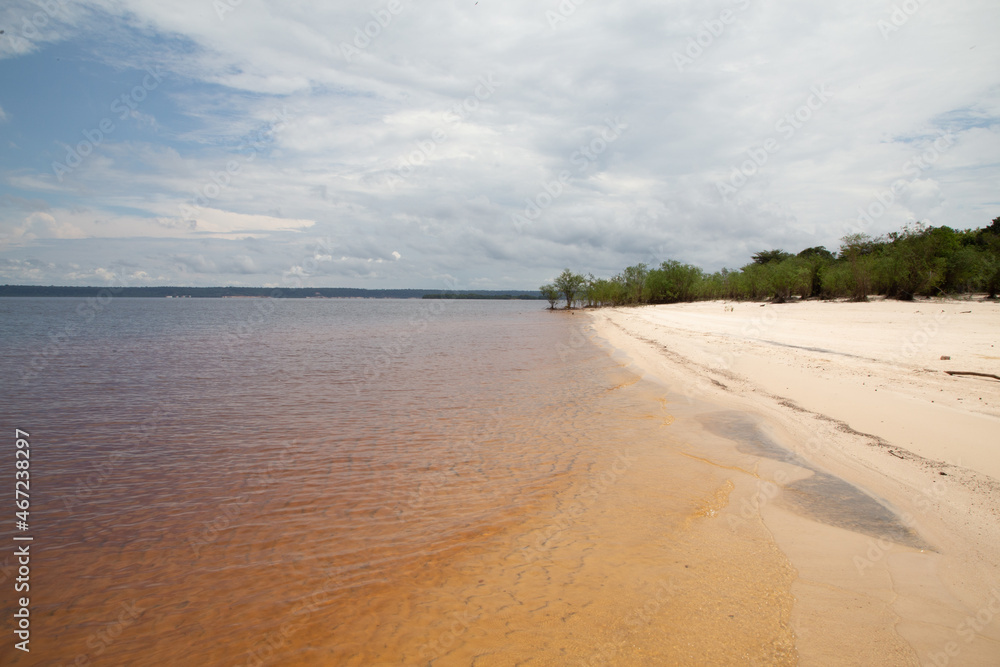 Freshwater beach in the middle of the Amazon rainforest