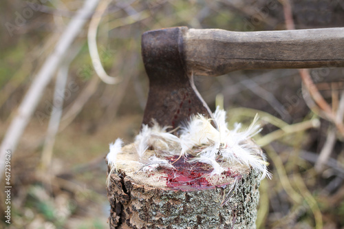 ax feathers blood photo