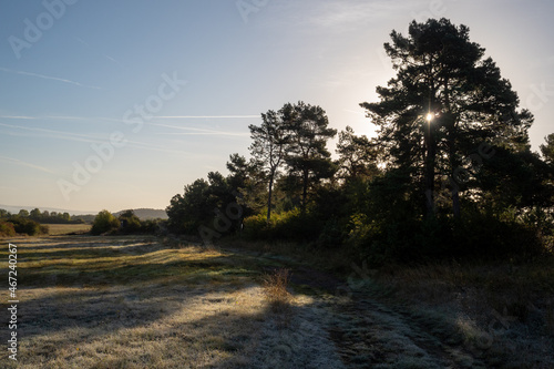 Landschaft im Herbst