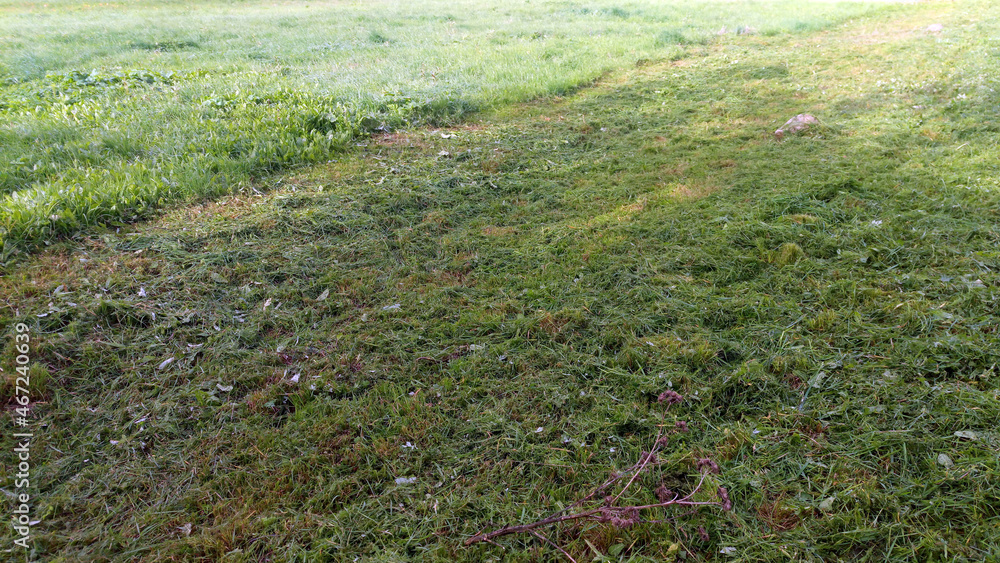 Mowing green grass with a trimmer.Summer haircut of green grass with a motorcycle mower. Mowing green grass with a trimmer.Summer haircut of green grass with a motorcycle mower.