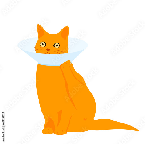 A red cat in a protective collar. Vector stock illustration. Medical collar, logo for veterinary clinic. Isolated on a white background.
