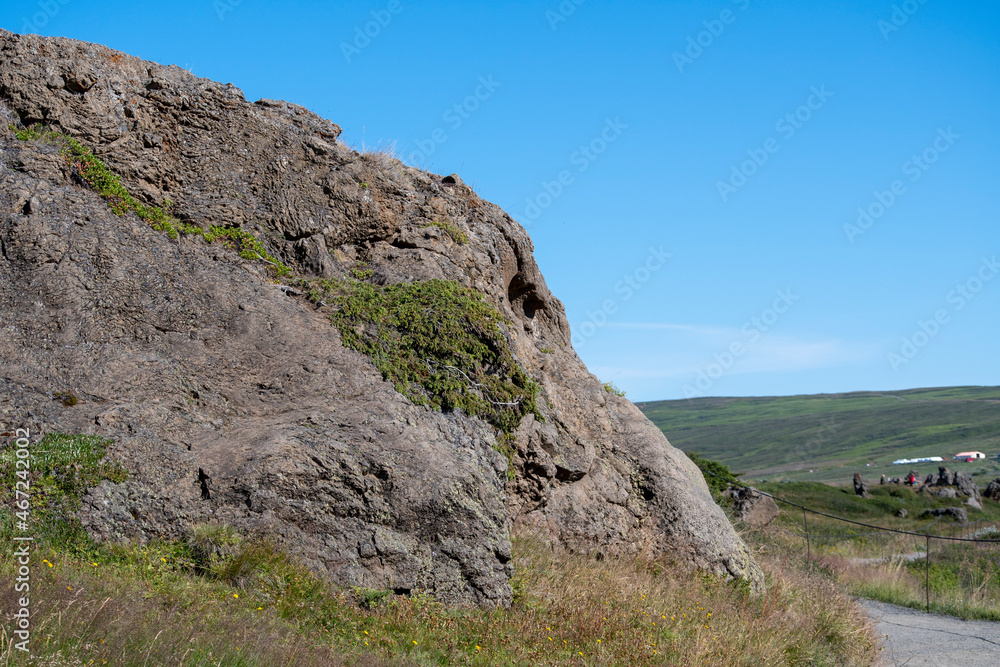 Landscape of lichen and moss growing on rock at Selfoss waterfall Golden Circle Iceland