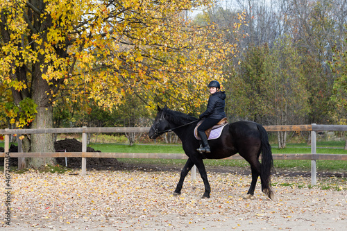 Horizontal shot of cute pre-teen girl riding on black horse in exterior arena during a fall afternoon