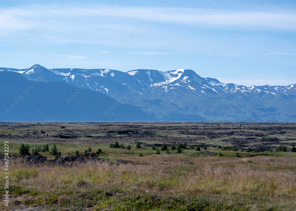 Landscape of snow capped mountains and trees growing in North iceland