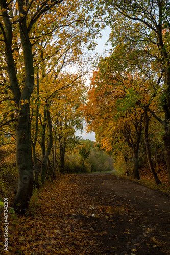 Landschaft im Herbst © hopfi23