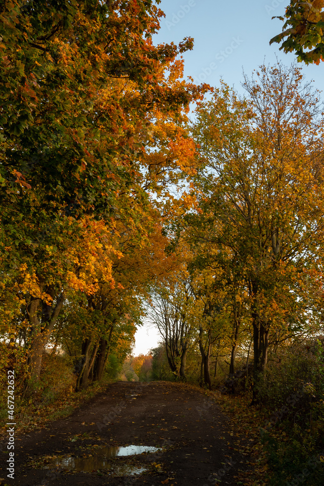 Landschaft im Herbst Landschaft im Herbst