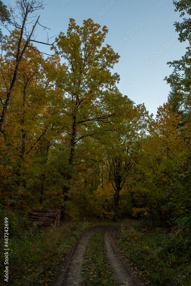 Fototapeta premium Landschaft im Herbst
