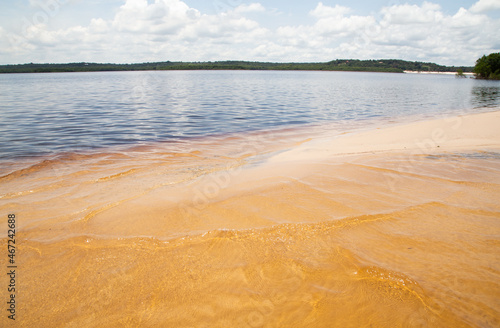 Fototapeta Naklejka Na Ścianę i Meble -  rio negro wine color water in Manaus interior of brazil