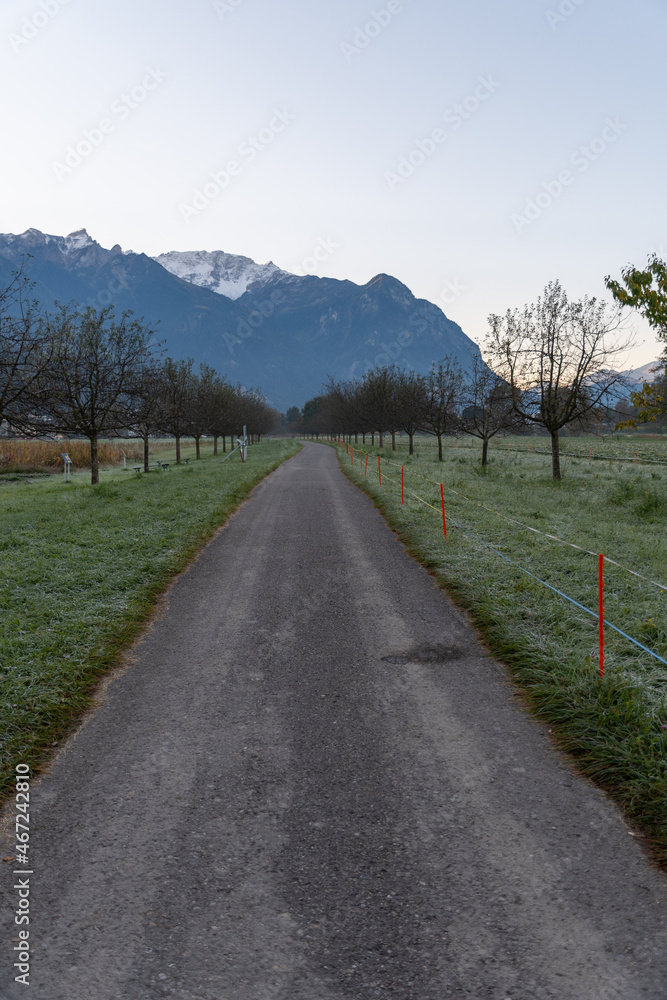 Vaduz, Liechtenstein, October 11, 2021 Early morning at a meadow in the alps Vaduz, Liechtenstein, October 11, 2021 Early morning at a meadow in the alps