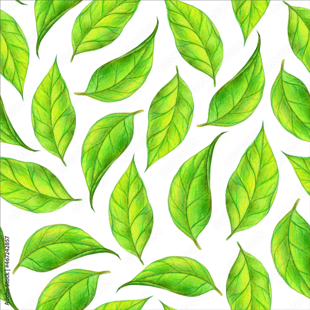 Tea leaf seamless pattern. Hand drawn illustration. Design for vintage packaging. Color sketch. Colored pencil drawing.