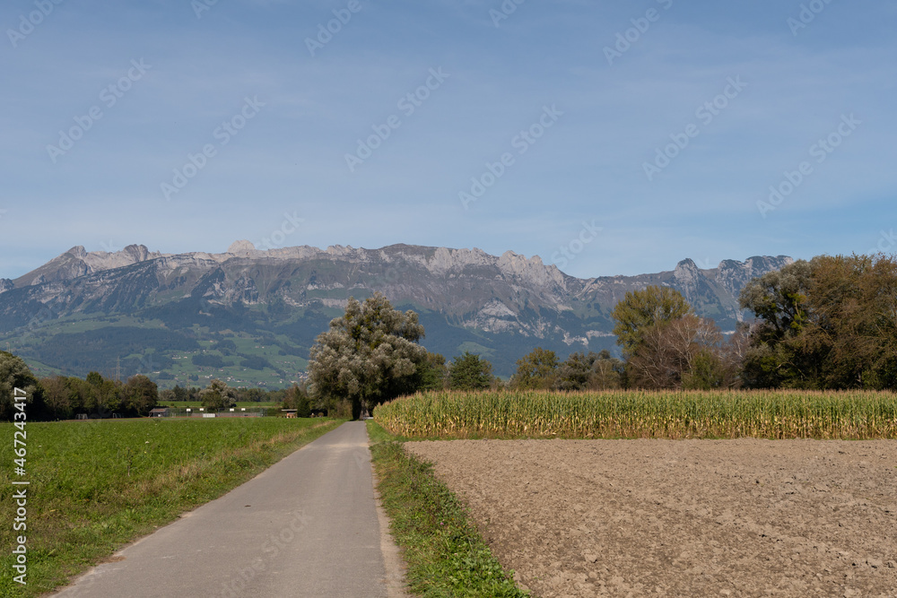 Vaduz, Liechtenstein, October 11, 2021 Corn field in front of the alps