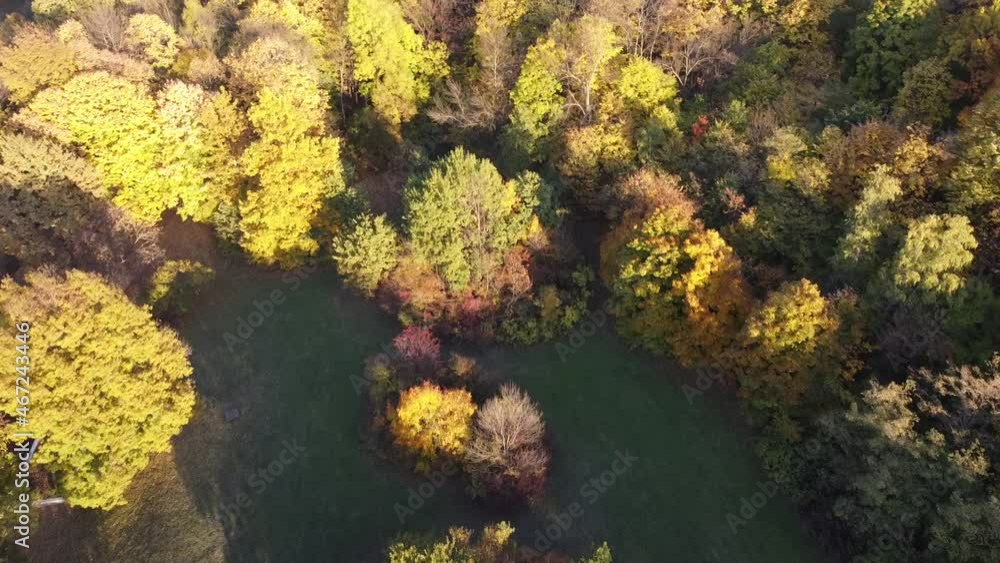 beautiful autumn forest from the air beautiful autumn forest from the air
