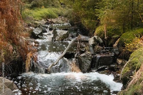 Le Fossé d'Eupen dans les Hautes Fagnes