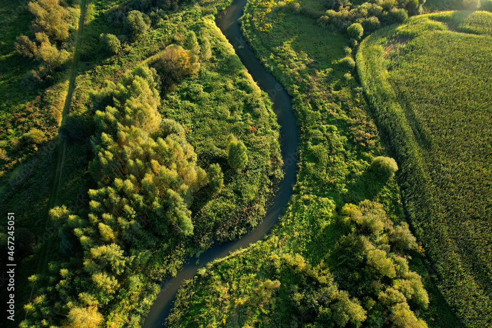 River in the wild. Aerial view of small river in middle of green forest in the wildlife. Natural Resource and Ecosystem. Wildlife Refuge Wetland Restoration. European Green Nature Scenery.