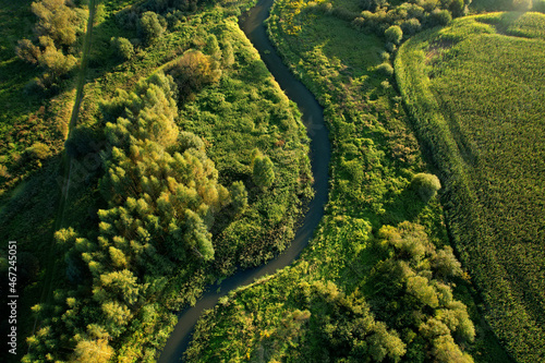 River in the wild. Aerial view of small river in middle of green forest in the wildlife. Natural Resource and Ecosystem. Wildlife Refuge Wetland Restoration. European Green Nature Scenery.